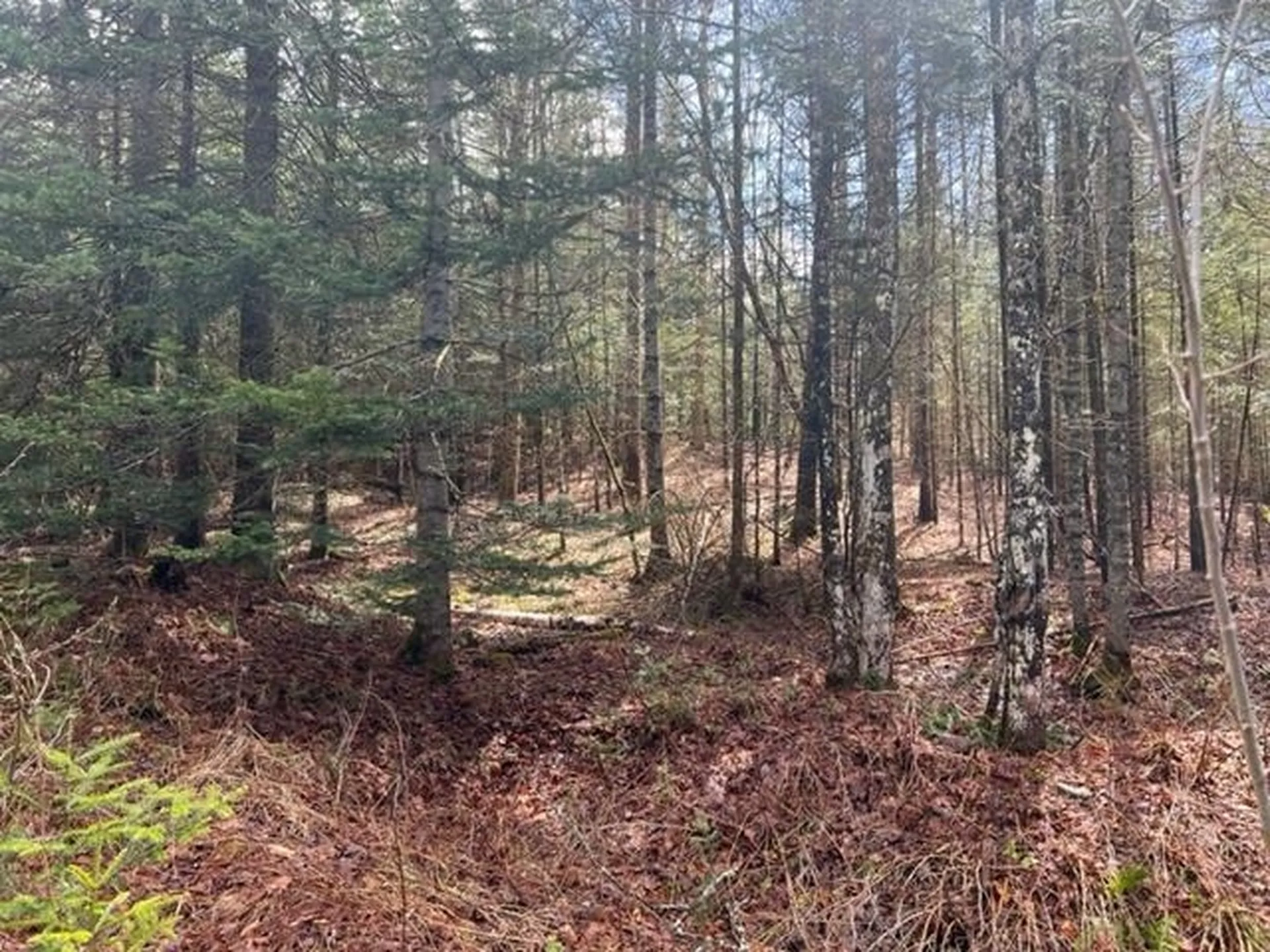 A5-49 Town Line Road Stewartstown NH 03576