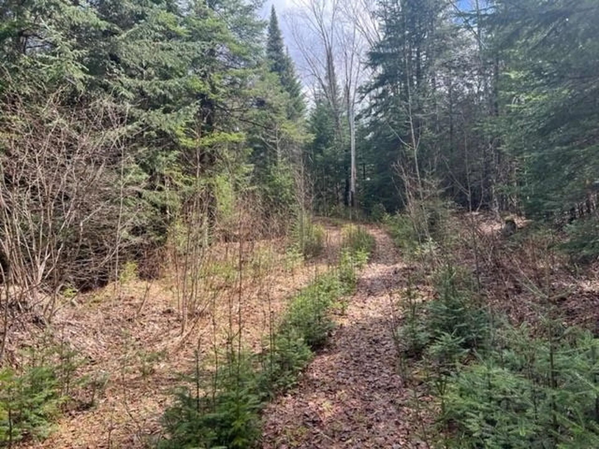 A5-49 Town Line Road Stewartstown NH 03576