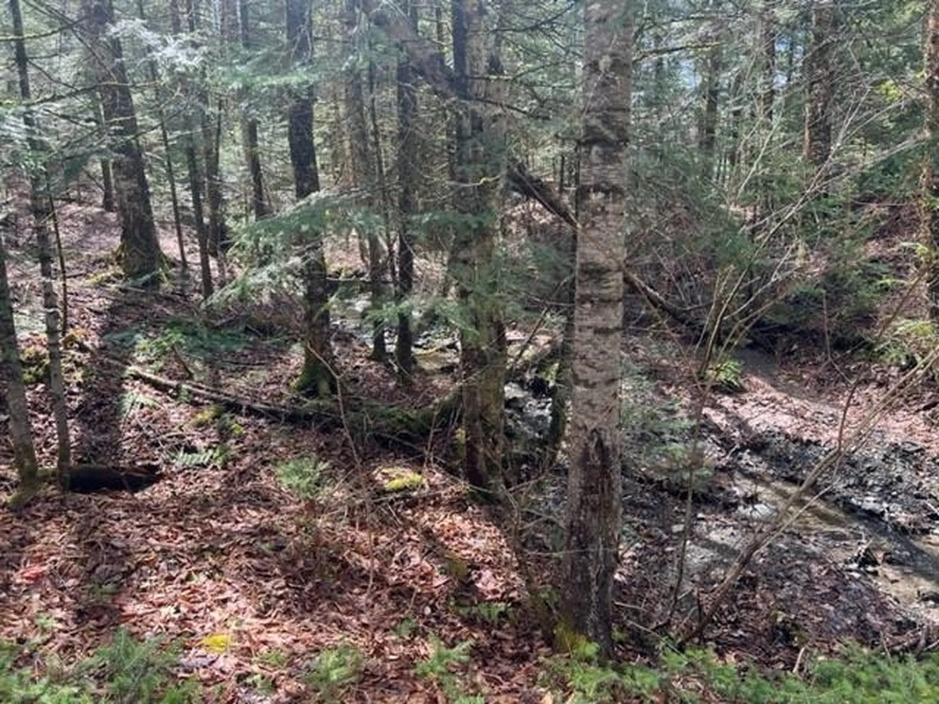 A5-49 Town Line Road Stewartstown NH 03576