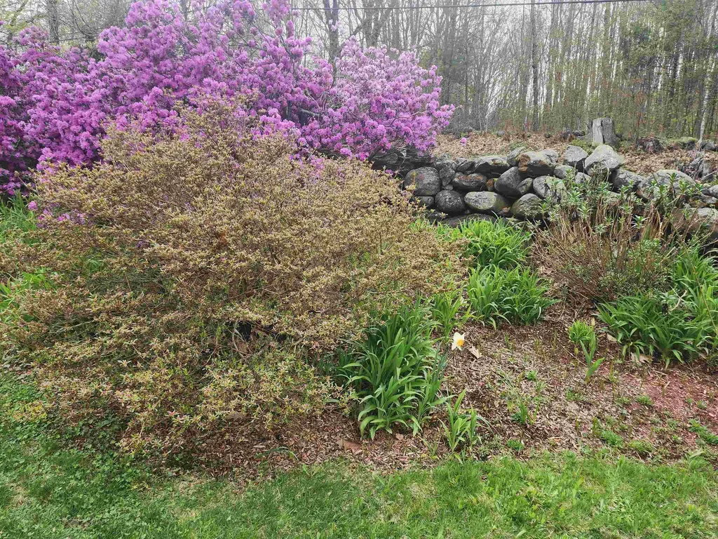 80 Payson Hill Road Rindge NH 03461