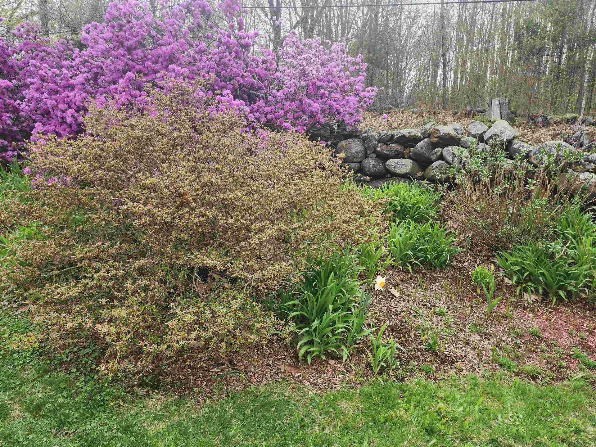 80 Payson Hill Road Rindge NH 03461