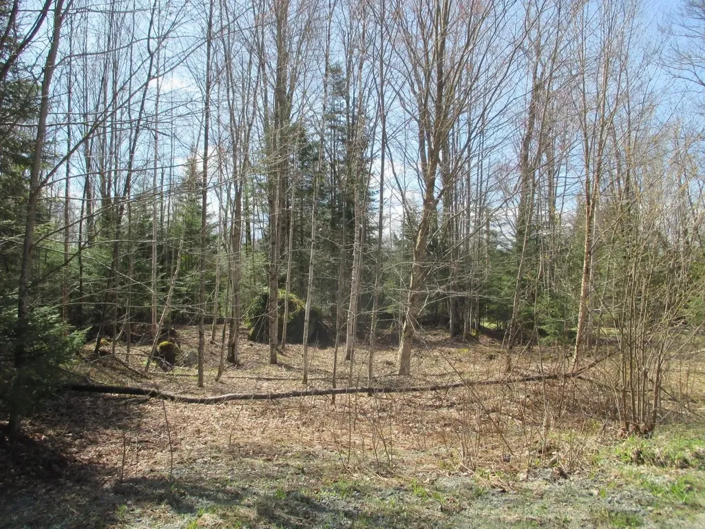 89 Mirror Lake Estates Drive Whitefield NH 03598