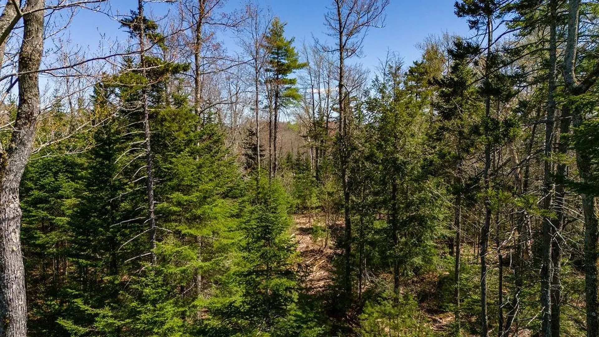 0 Willow View Road Wilmot NH 03287