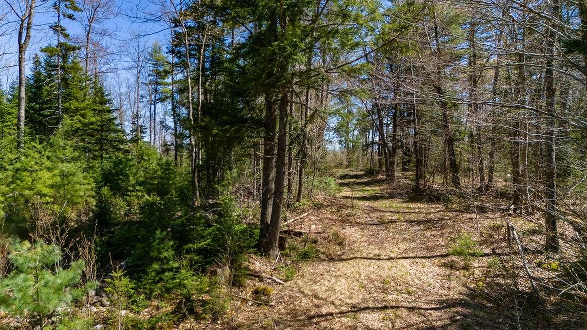 0 Willow View Road Wilmot NH 03287