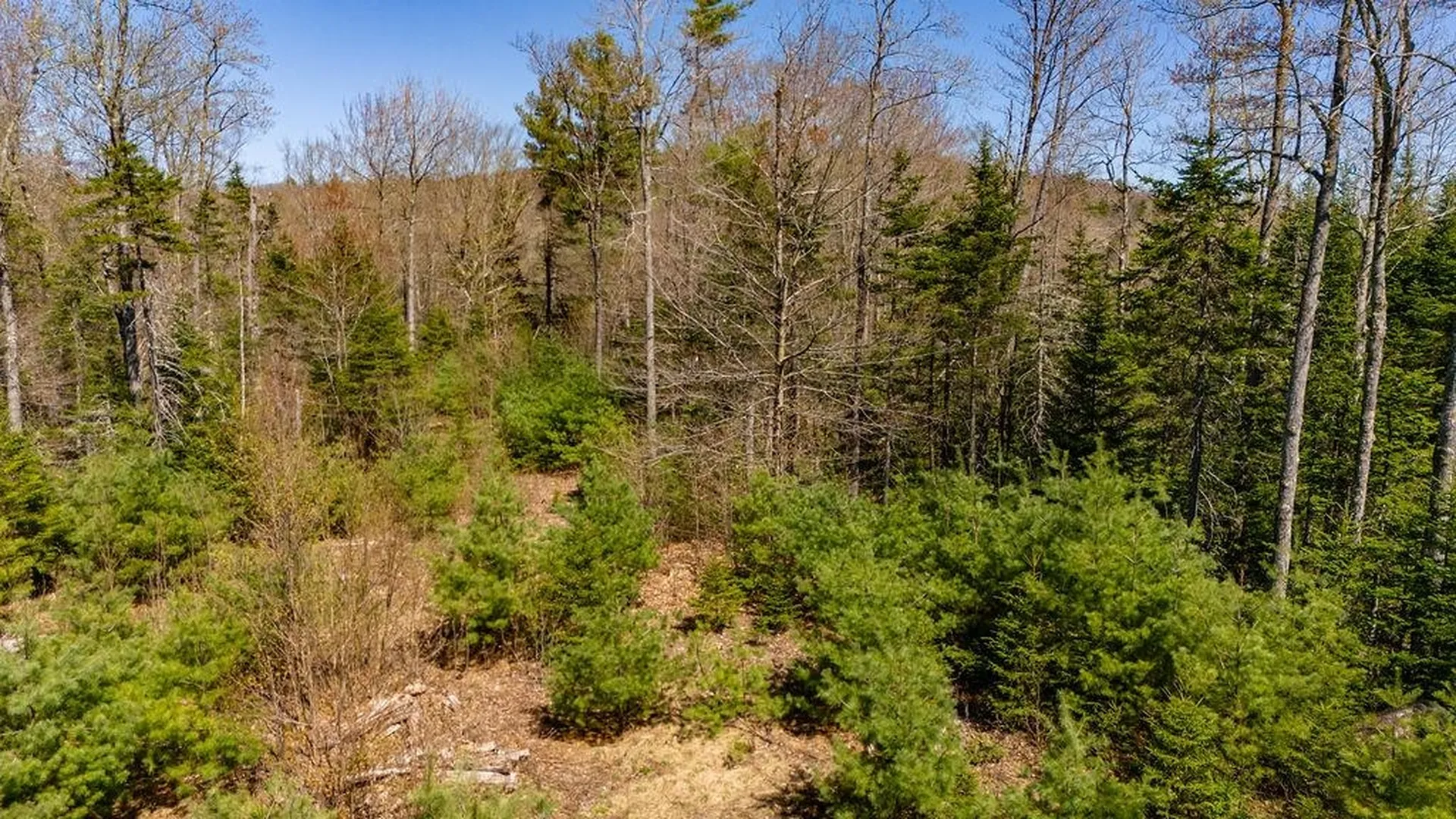 0 Willow View Road Wilmot NH 03287