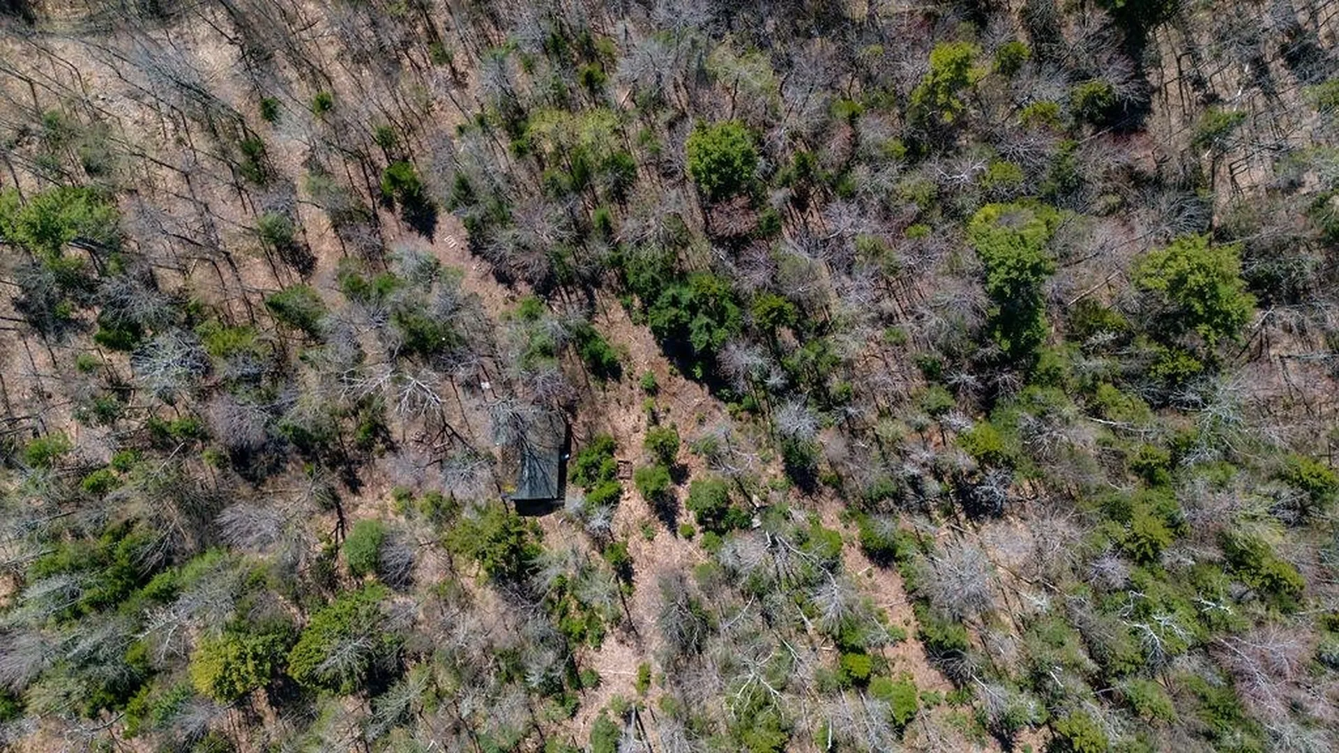 0 Willow View Road Wilmot NH 03287