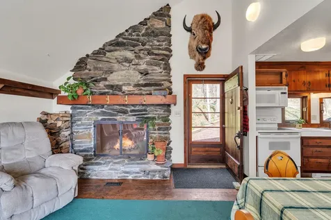 402 Great Hawk Road Rochester VT 05767-8811