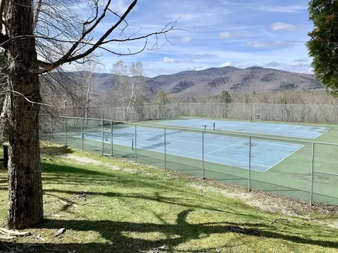402 Great Hawk Road Rochester VT 05767-8811