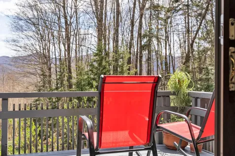 402 Great Hawk Road Rochester VT 05767-8811