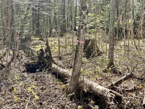 0 Sunset Drive Morgan VT 05853