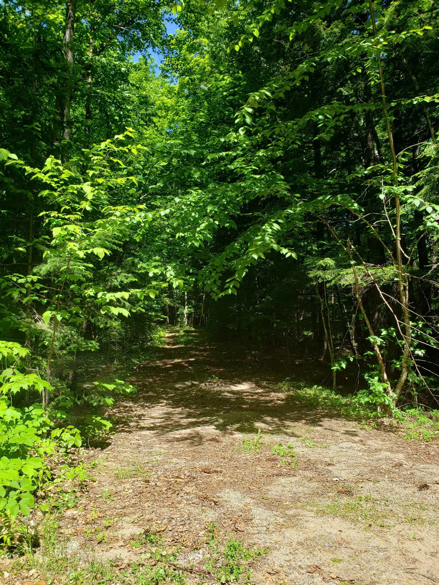 Lot 14 Partridge Hill Road Sandwich NH 03227