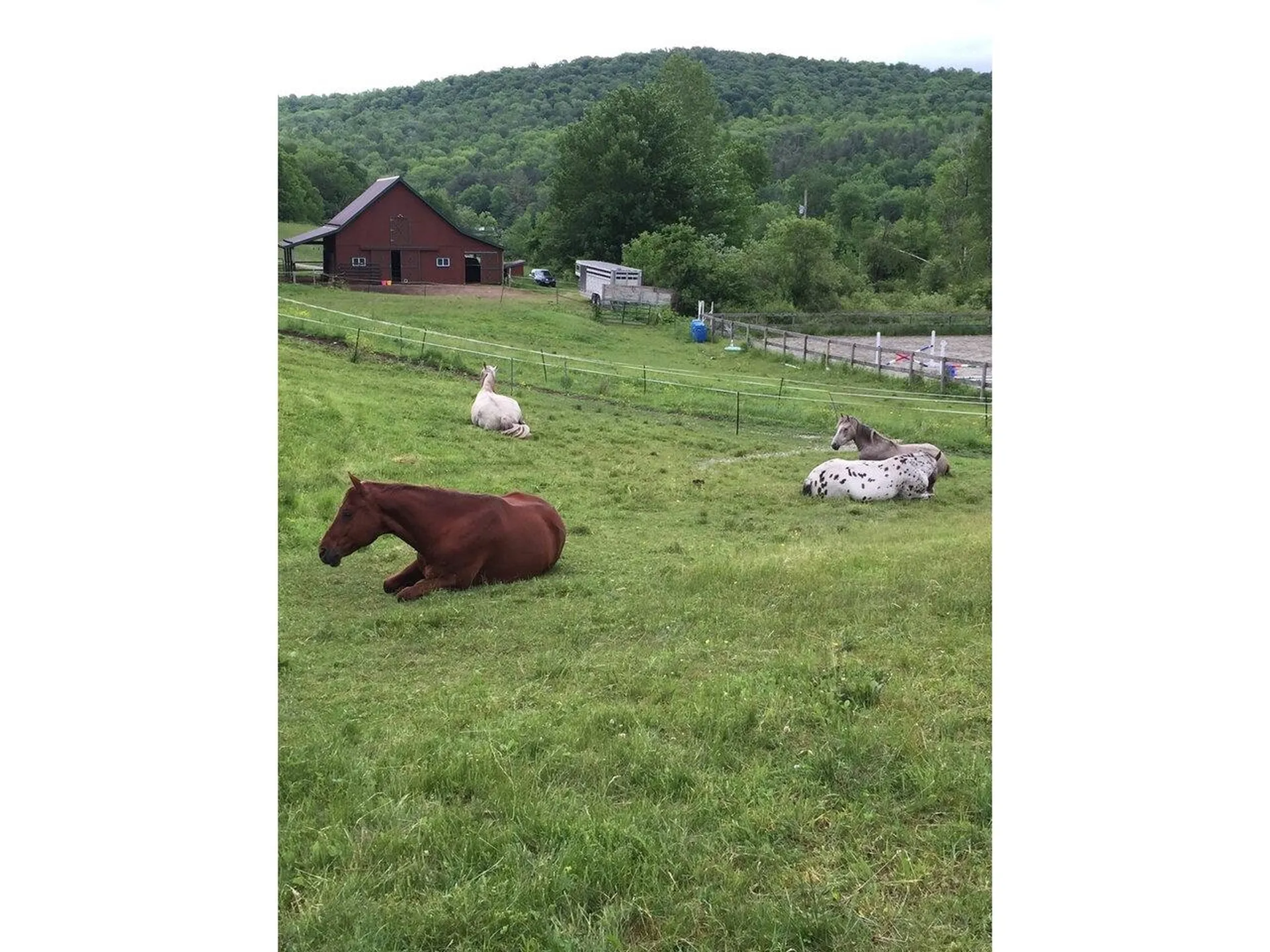 1357 Texas Hill Road Hinesburg VT 05461