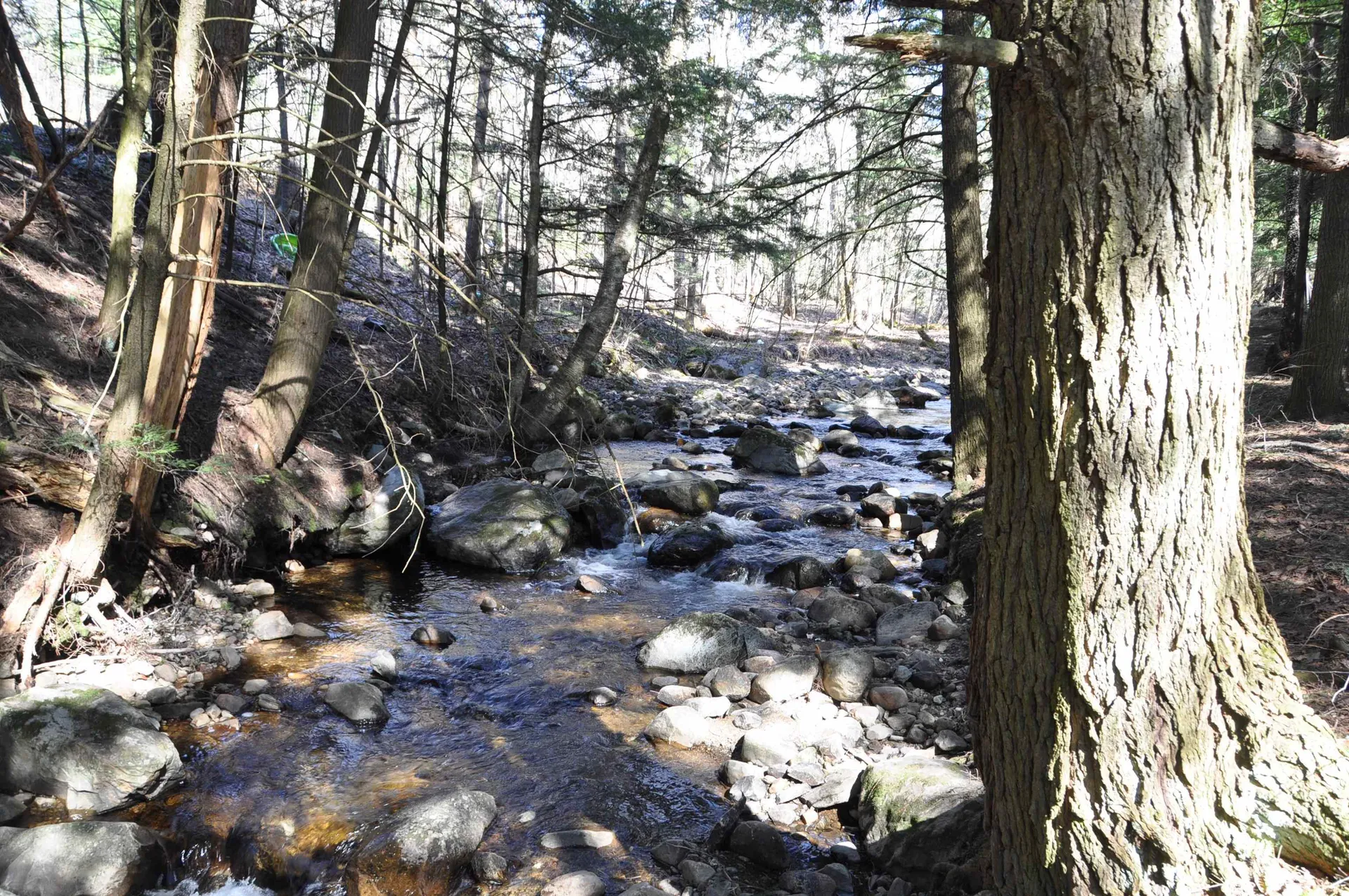 194 Billings Farm Road Ripton VT 05766