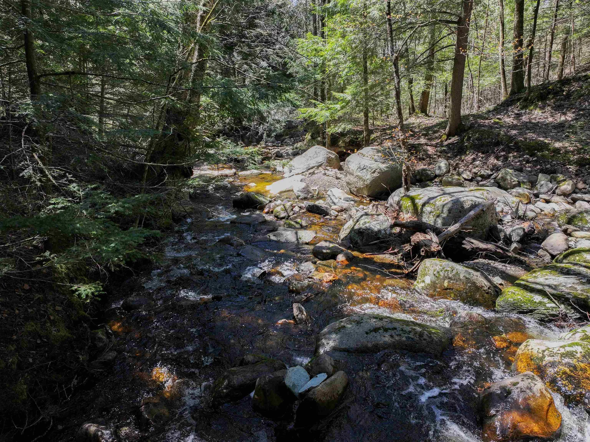 194 Billings Farm Road Ripton VT 05766