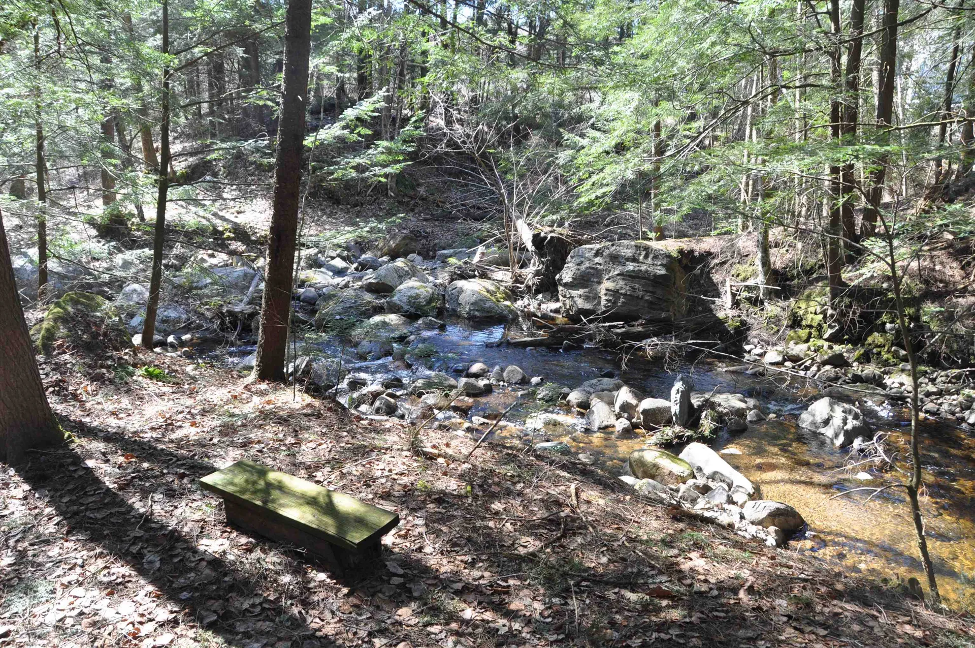 194 Billings Farm Road Ripton VT 05766