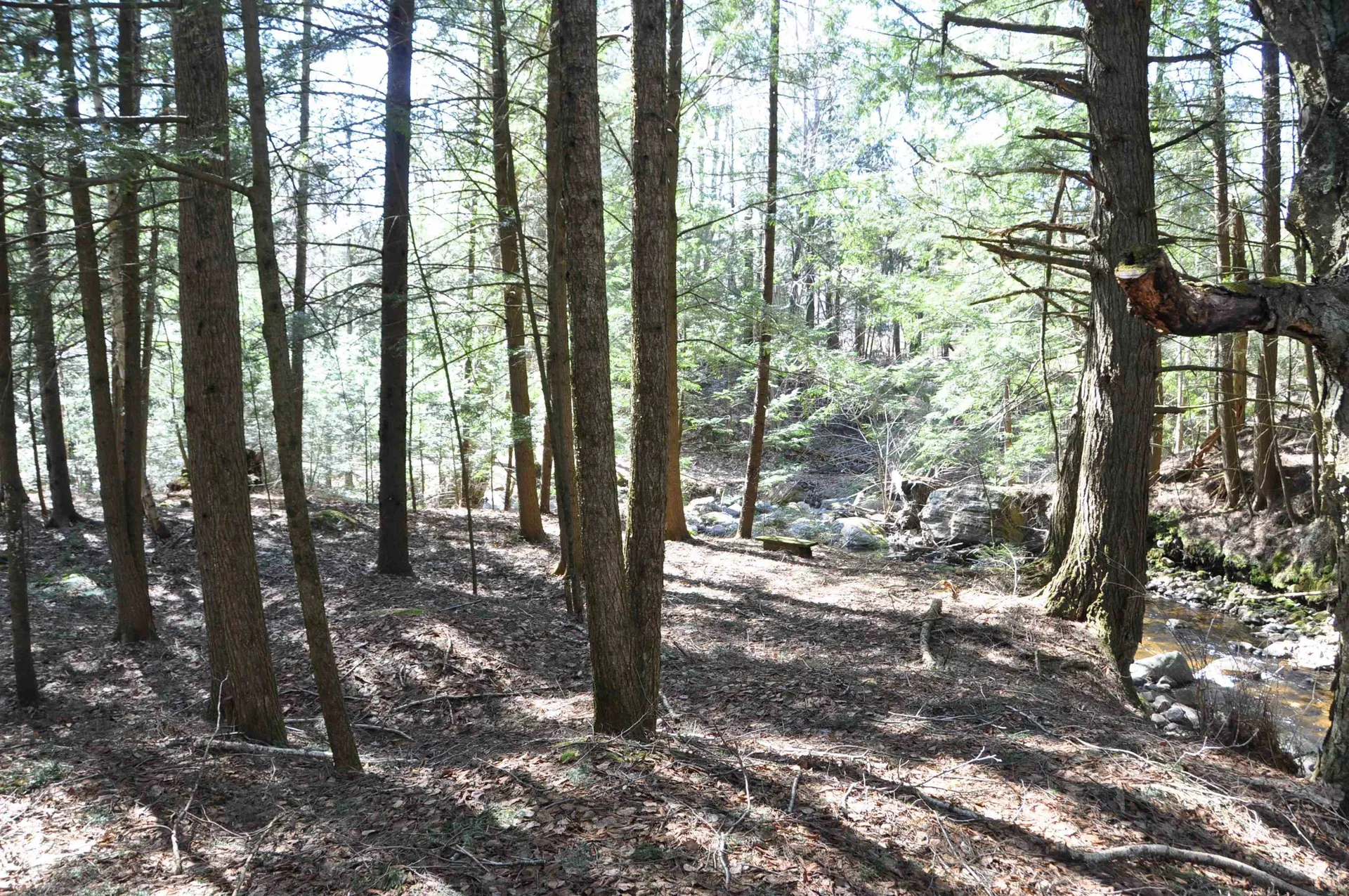 194 Billings Farm Road Ripton VT 05766