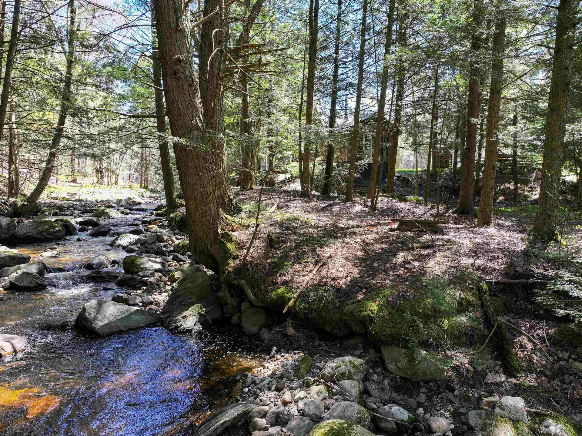 194 Billings Farm Road Ripton VT 05766