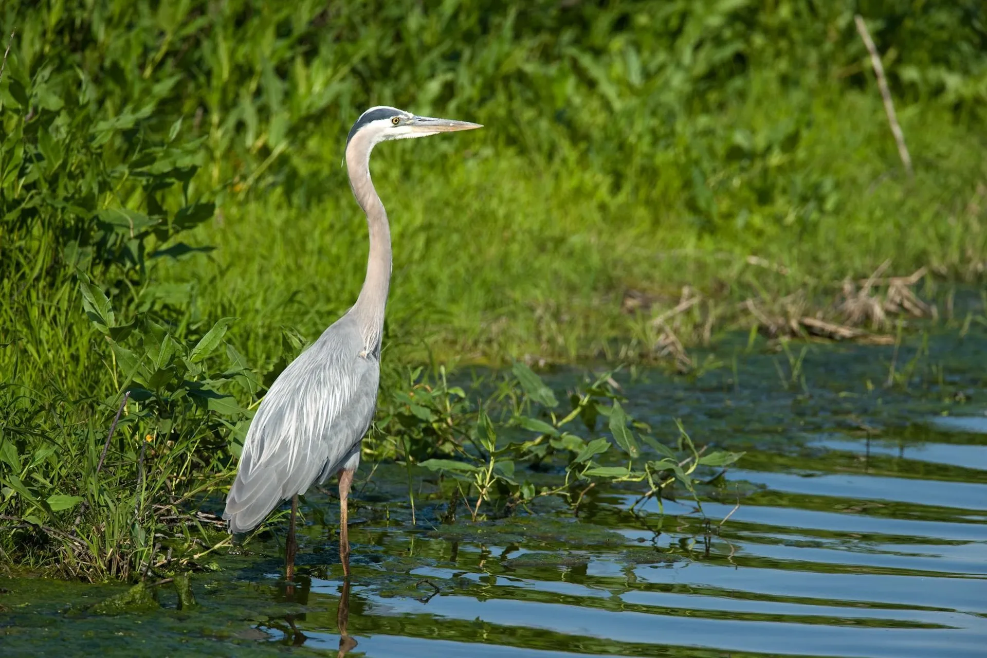 570 Lapan Road St. Albans Town VT 05481