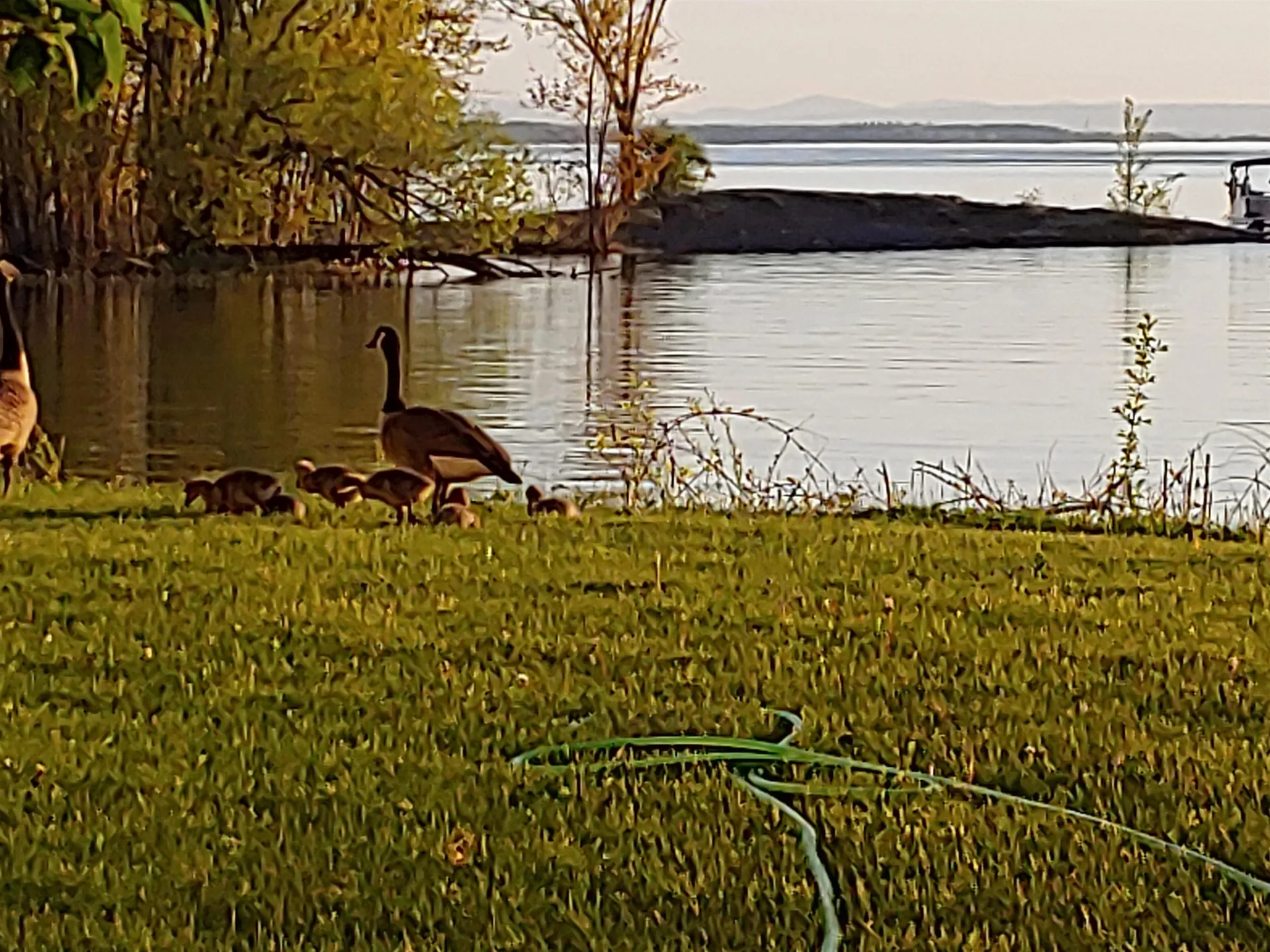 570 Lapan Road St. Albans Town VT 05481