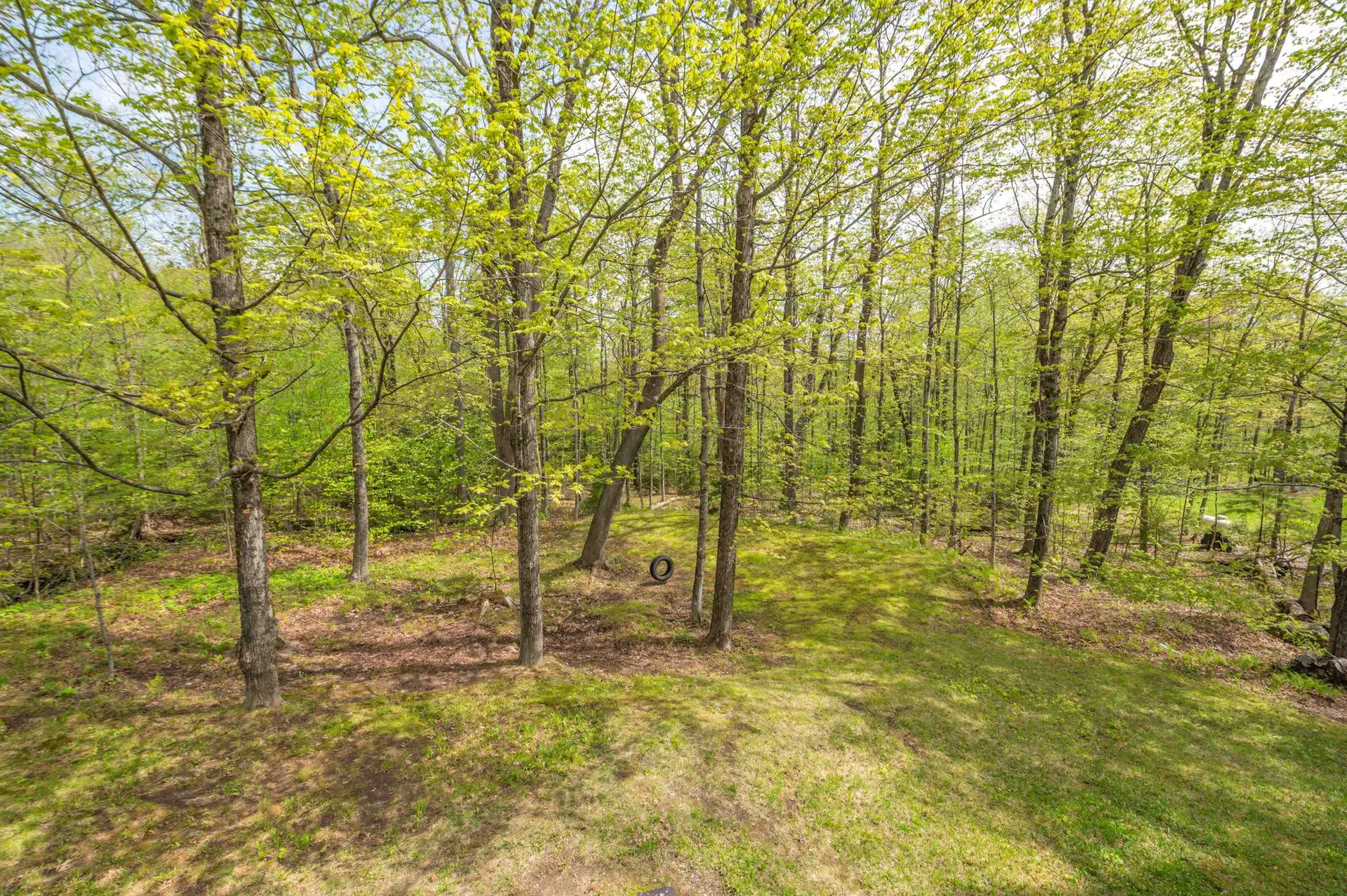 140 Ellis Brook Road Dover VT 05356