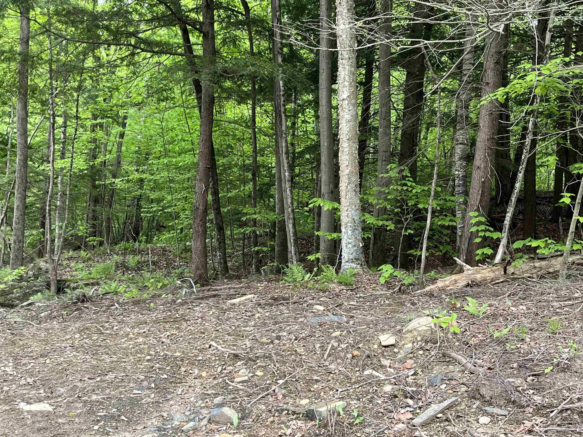 0 Remington Road Chester VT 05143