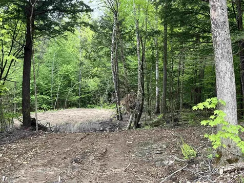 0 Remington Road Chester VT 05143