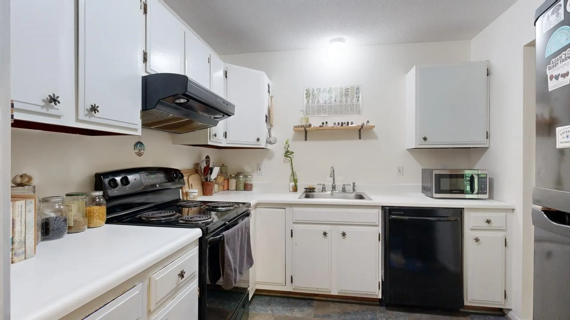 50 Bayberry Lane South Burlington VT 05403