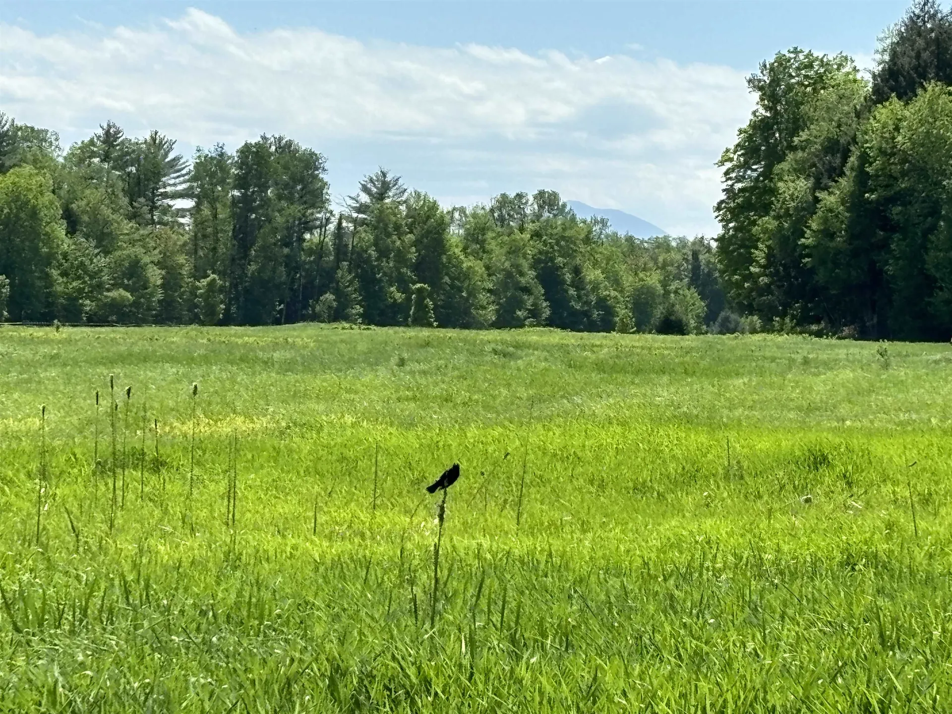 Lot #5 Lawrence Road Morristown VT 05661