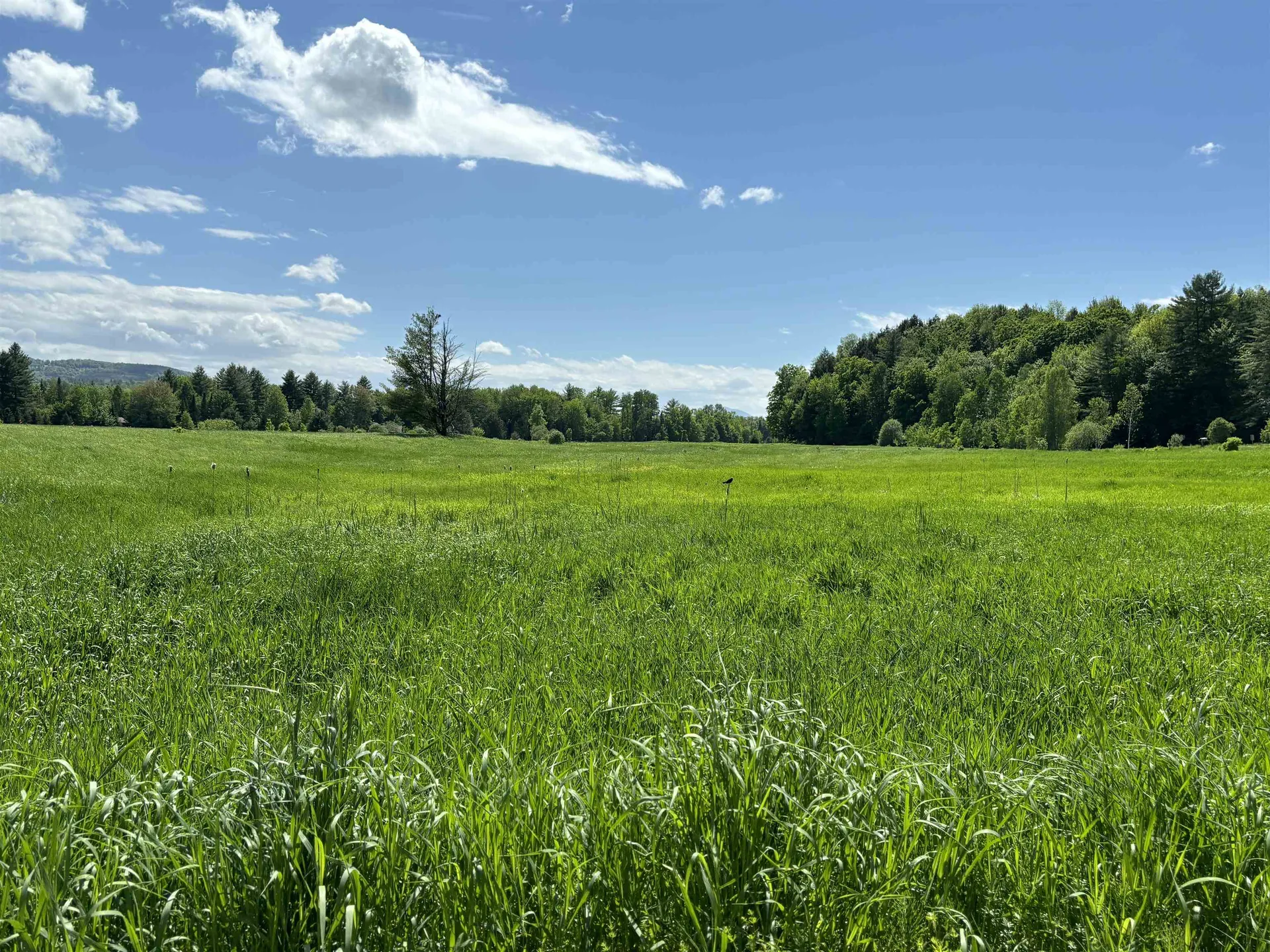 Lot #5 Lawrence Road Morristown VT 05661