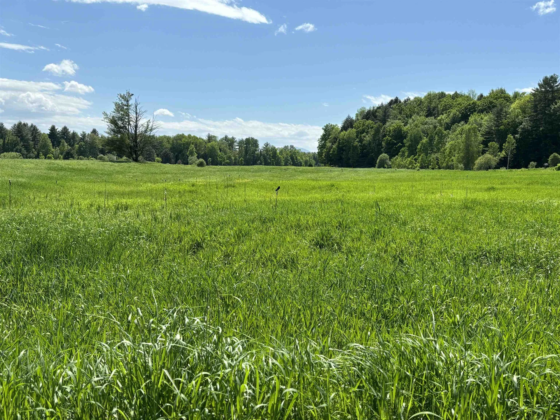 Lot #5 Lawrence Road Morristown VT 05661