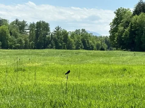 Lot #5 Lawrence Road Morristown VT 05661