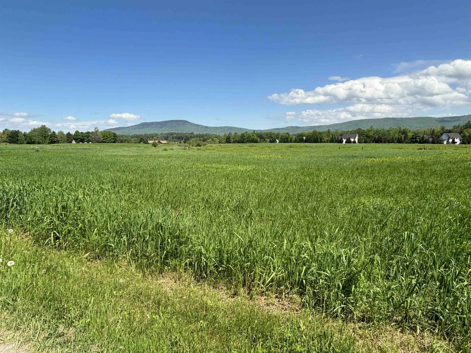 Lot #4 Lawrence Road Morristown VT 05661