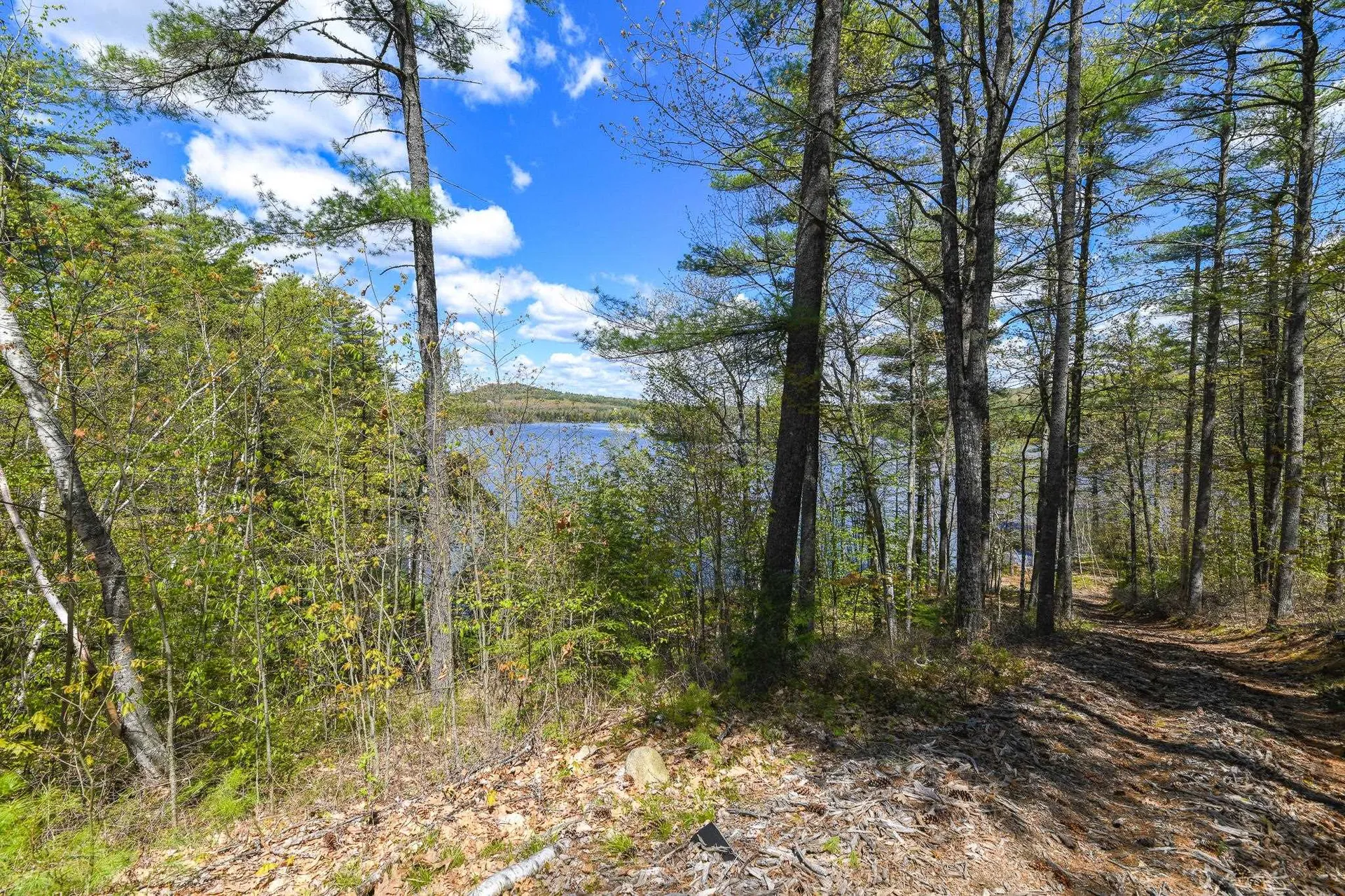 92 Gold Coast Drive Wakefield NH 03830