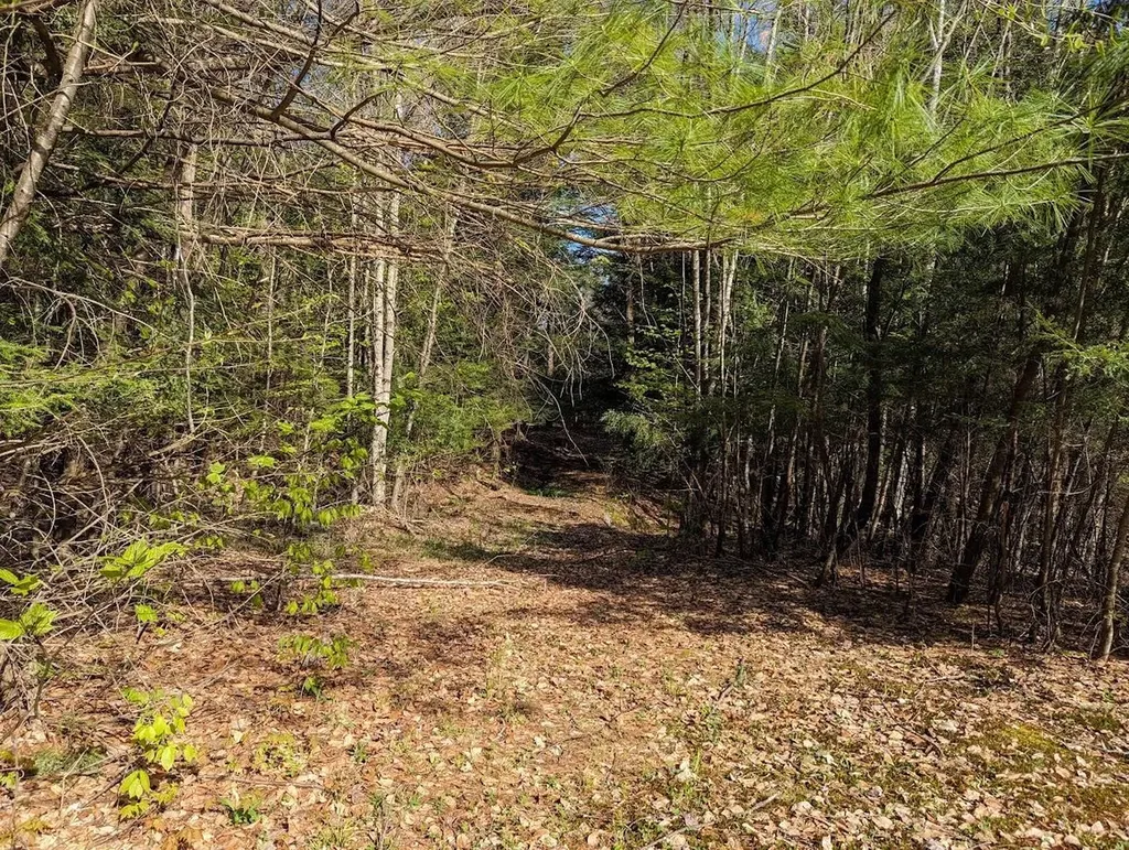 120 Murray Road Weathersfield VT 05151