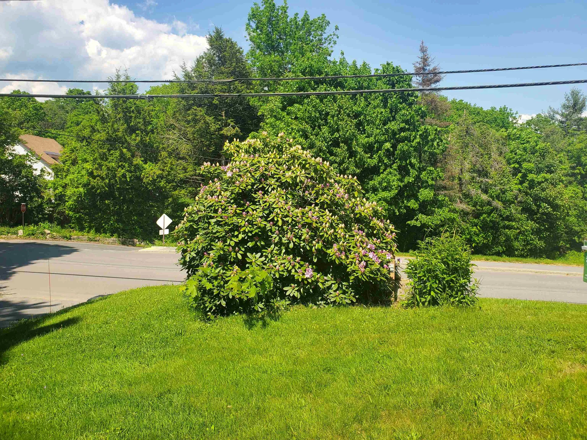 139 Union Street Springfield VT 05156