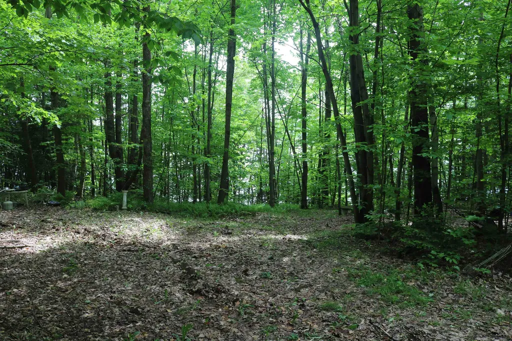 373 Blackwoods Road Franklin VT 05457