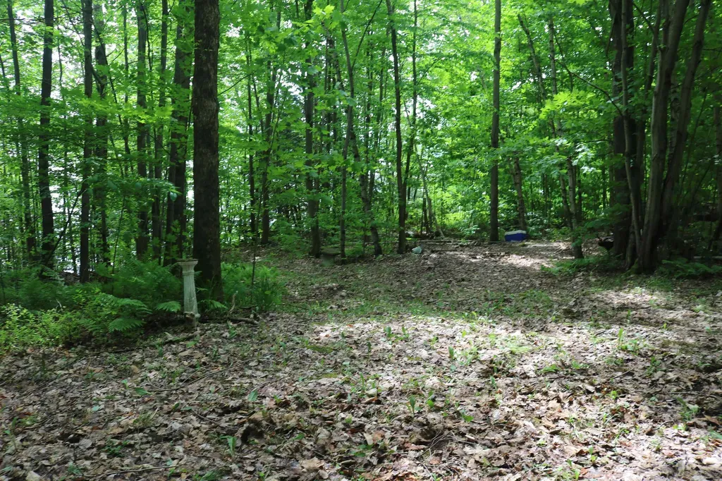 373 Blackwoods Road Franklin VT 05457