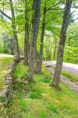 79 Captain Copeland Road Dover VT 05356