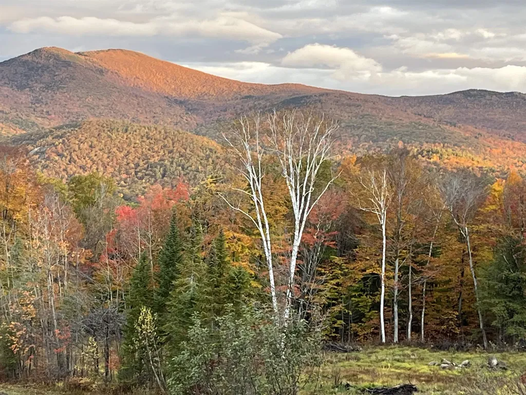 164 Ledge Hill Road Tuftonboro NH 03816