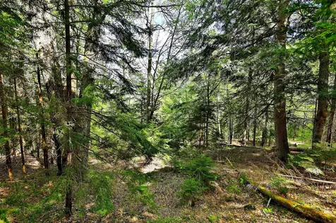 98 Wilcox Peak Road Pittsfield VT 05762