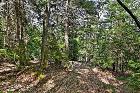 98 Wilcox Peak Road Pittsfield VT 05762