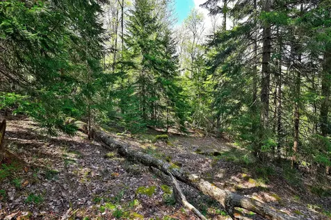 98 Wilcox Peak Road Pittsfield VT 05762