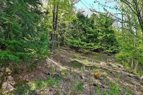 98 Wilcox Peak Road Pittsfield VT 05762