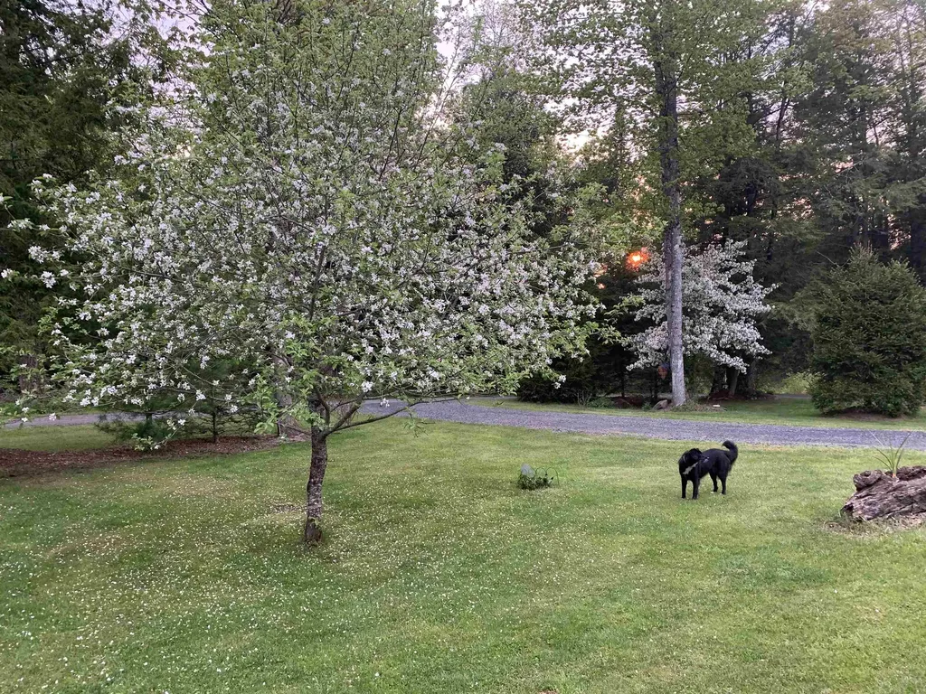 201 Mays Way East Montpelier VT 05651