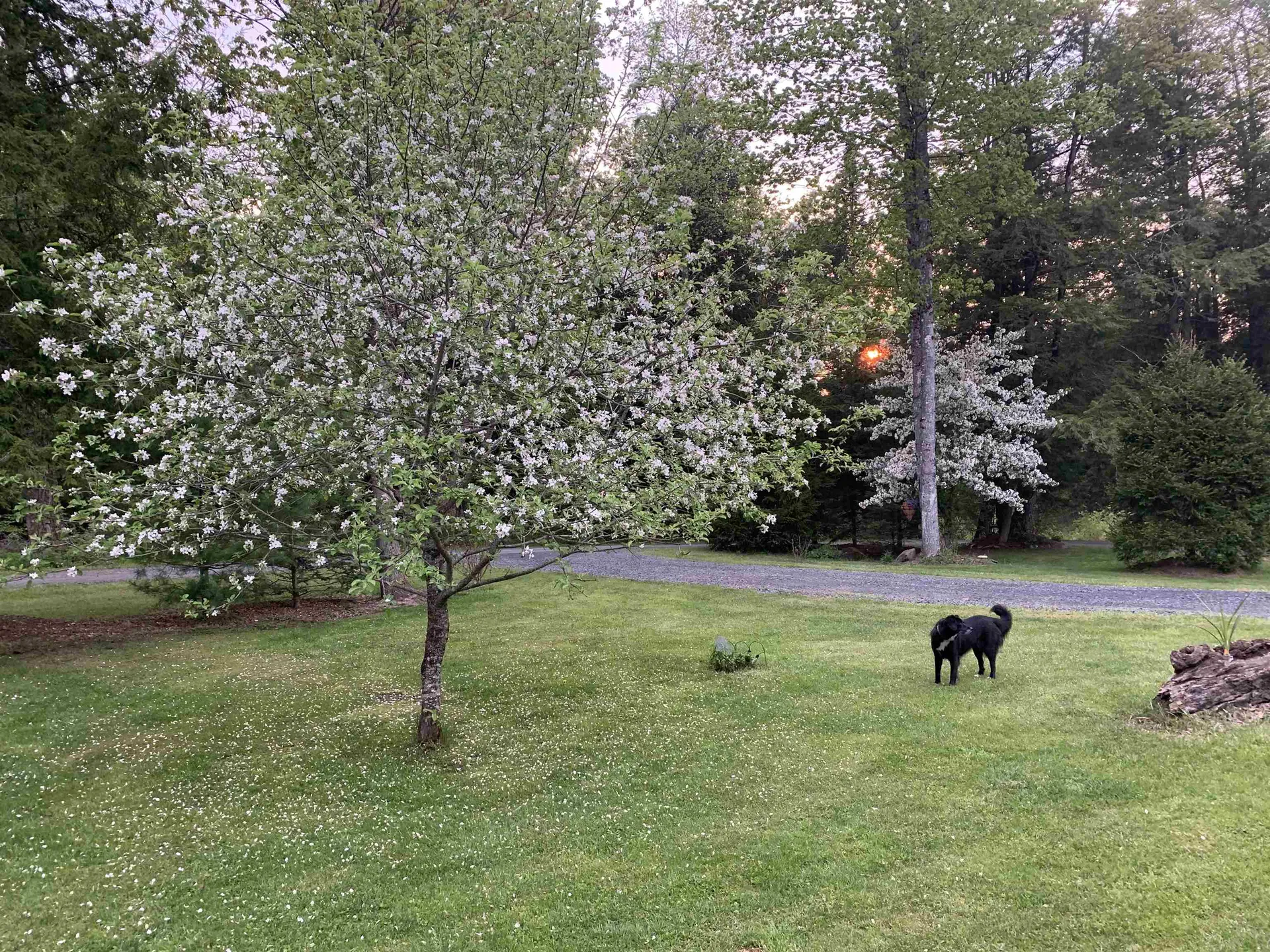 201 Mays Way East Montpelier VT 05651