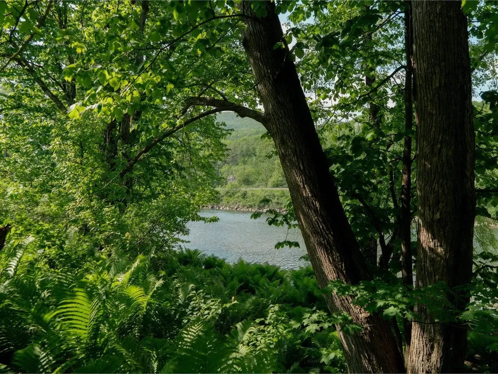 3585 Duxbury Road Bolton VT 05676