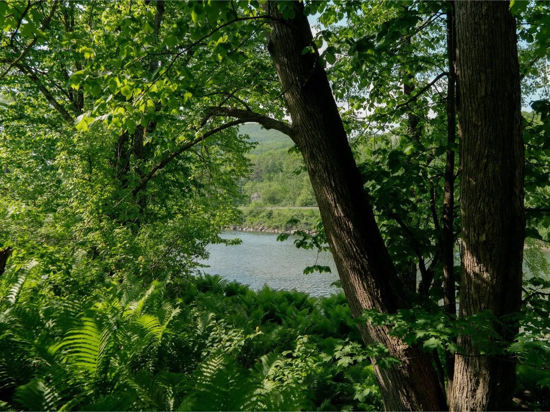 3585 Duxbury Road Bolton VT 05676