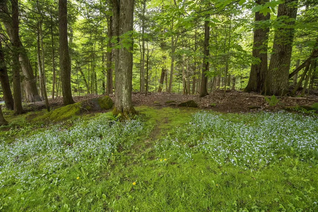 25 Hubbard Park Drive Montpelier VT 05602