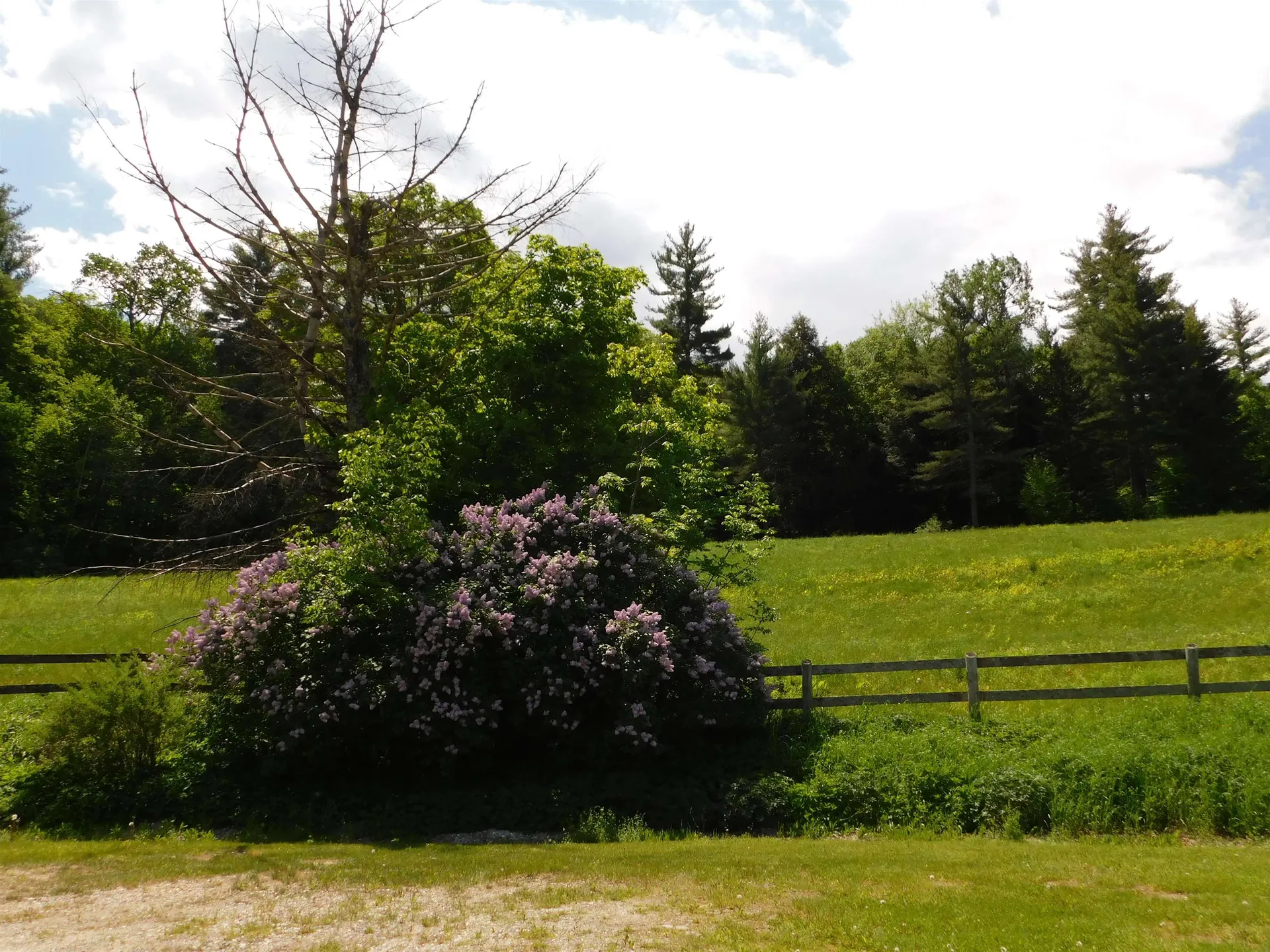 580 Sugar Hill Road Wallingford VT 05773