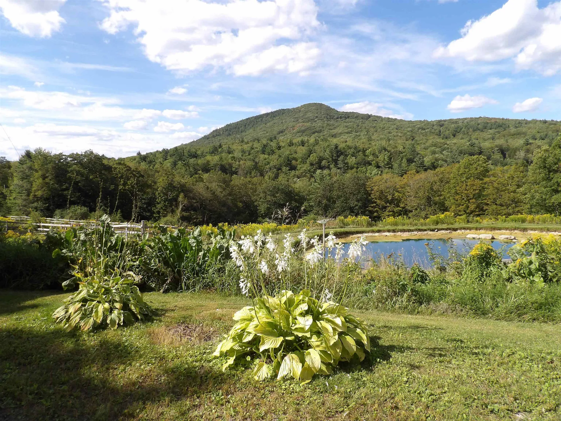 580 Sugar Hill Road Wallingford VT 05773